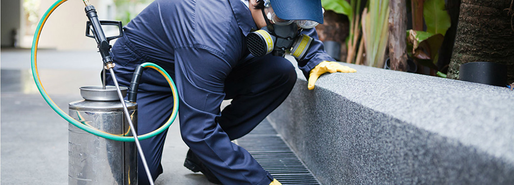 EN 16636 Pest Control